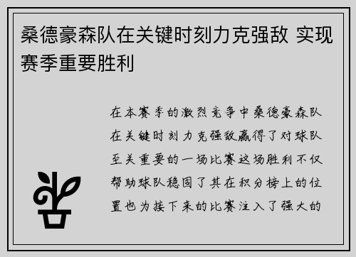 桑德豪森队在关键时刻力克强敌 实现赛季重要胜利