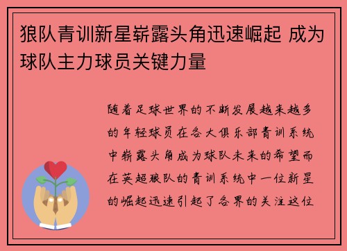 狼队青训新星崭露头角迅速崛起 成为球队主力球员关键力量